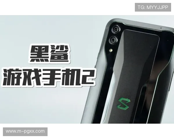 问鼎app下载安装pg详细教程让新手玩家快速上手游戏操作流程